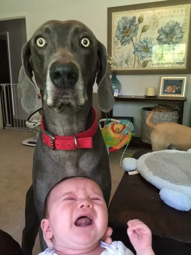 Image credit: Reddit | adammolens