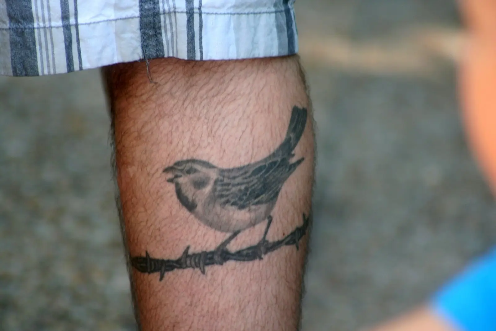 Image credit: https://commons.wikimedia.org/wiki/File:Bird_Tattoo_(5115747547).jpg