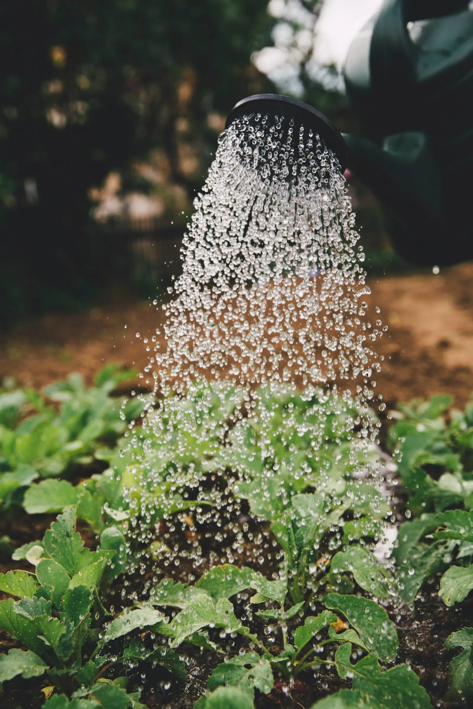Image credit: Unsplash | Markus Spiske