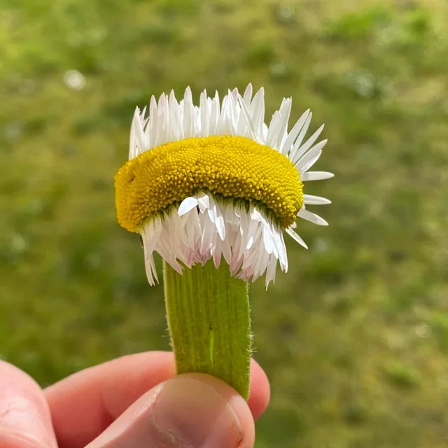 Image credit: Reddit | Fluglichkeiten