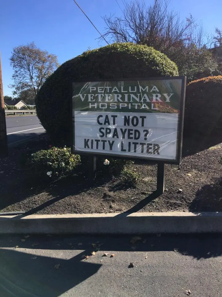 Image credit: Facebook | Petaluma Veterinary Hospital