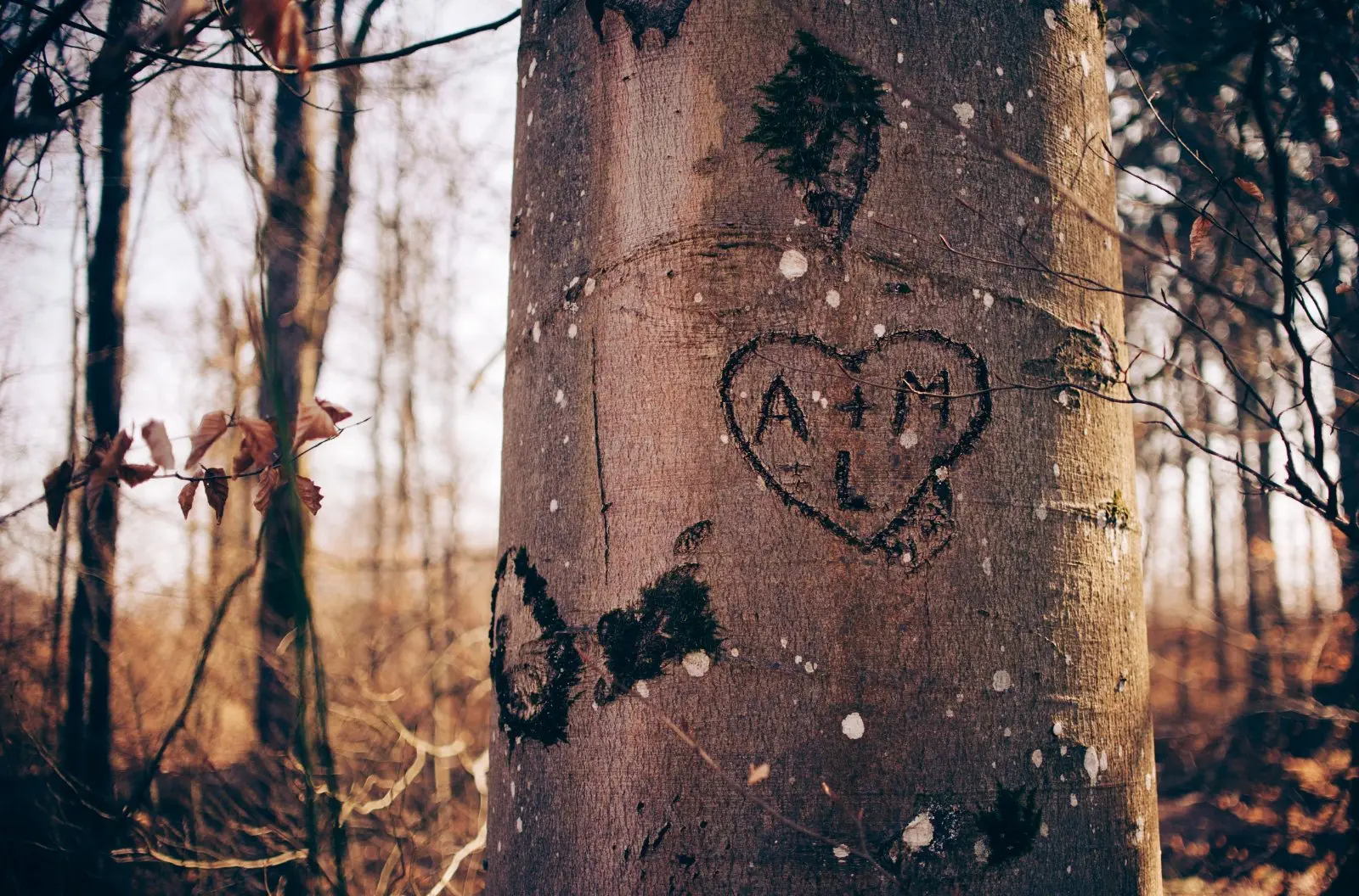 Image credit: Unsplash | Glenn Carstens-Peters