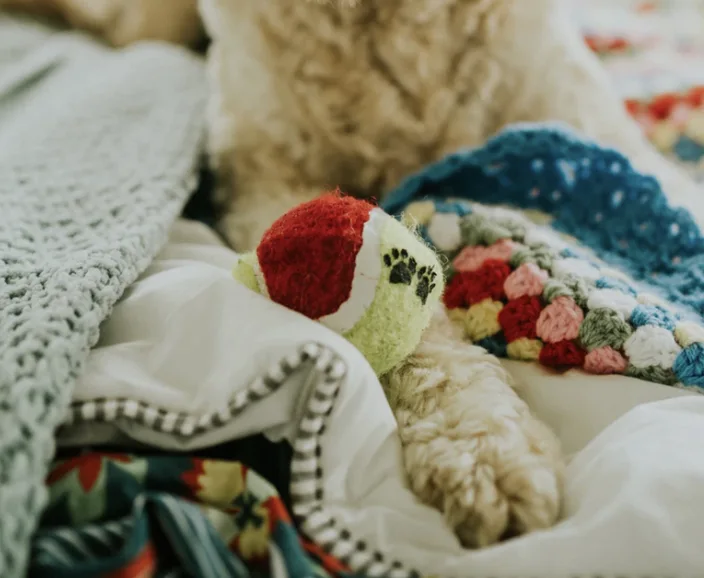 Image credit: Unsplash | Jay Wennington