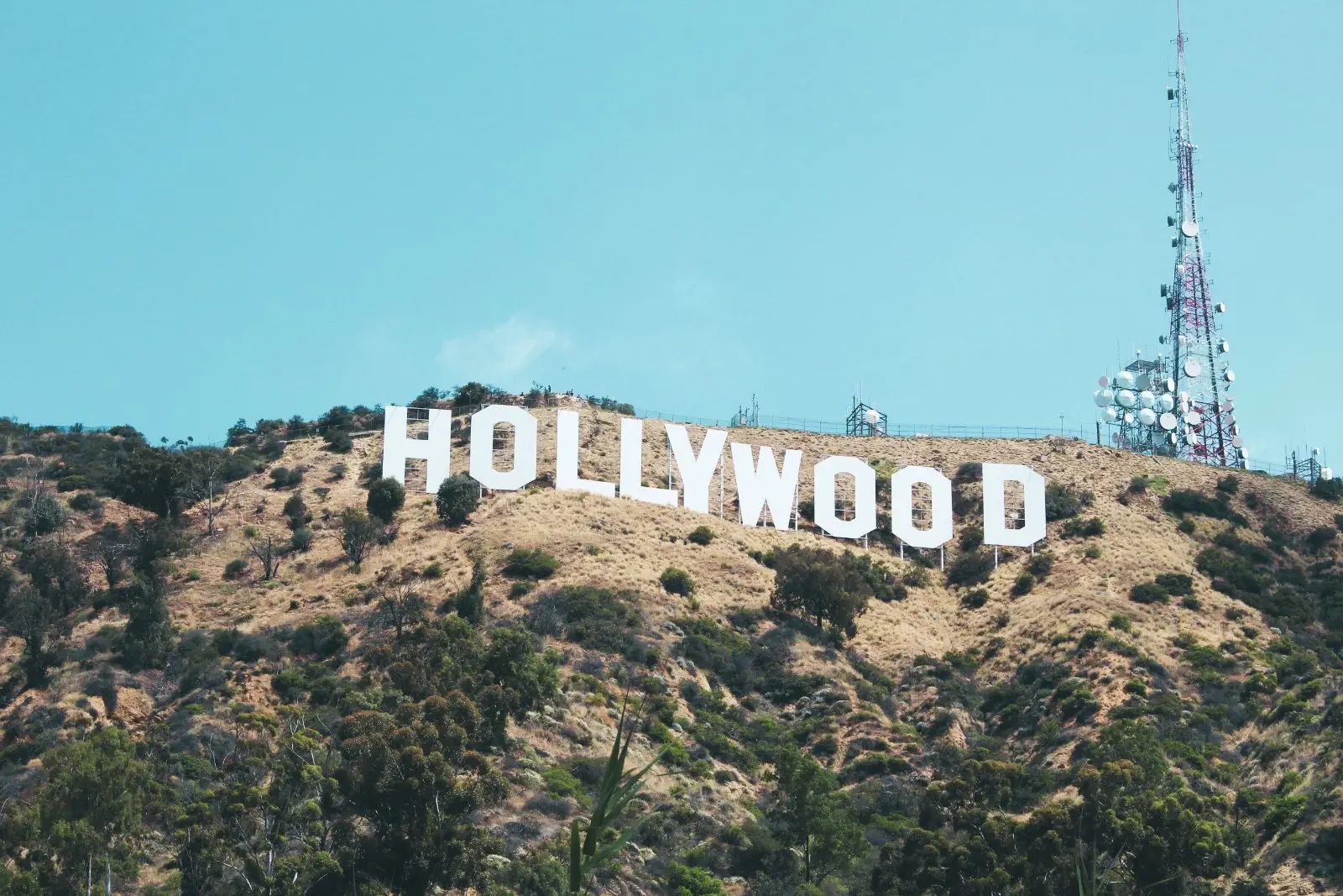 Image credit: Unsplash | Nathan DeFiesta