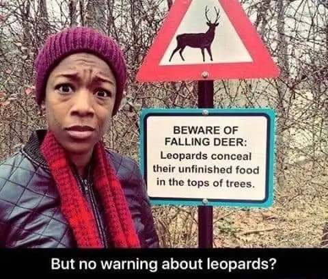 Image credit: Reddit | goodlyearth