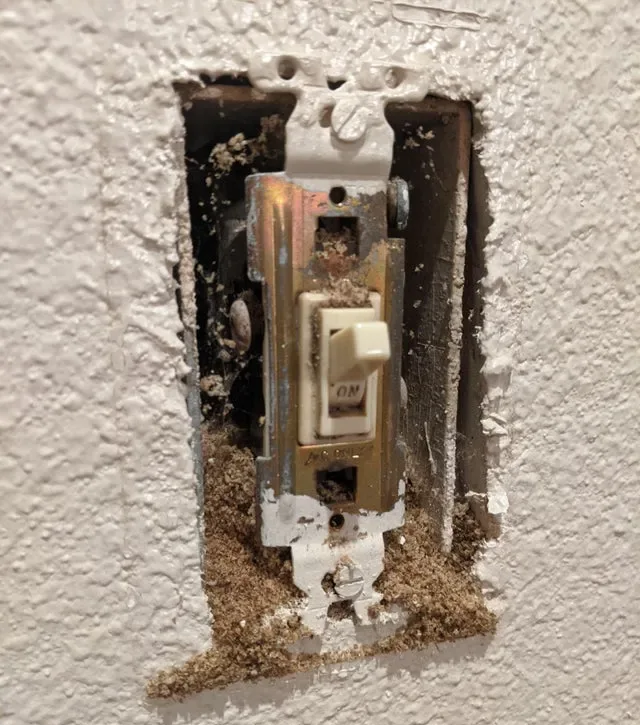 Image credit: Reddit | NetDork