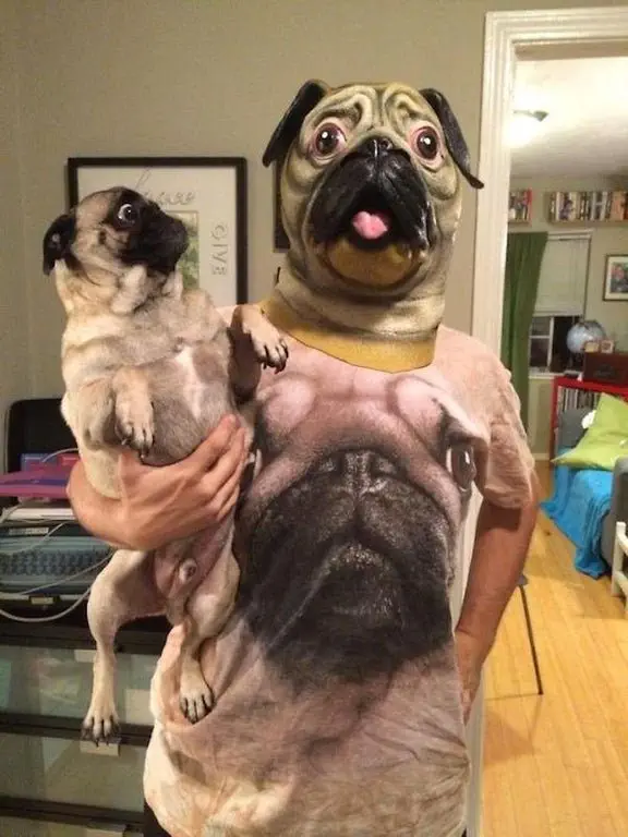 Image credit: Reddit | iLoveBeeez