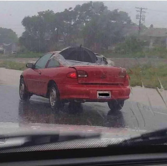 Image credit: Reddit | OyeSimpson