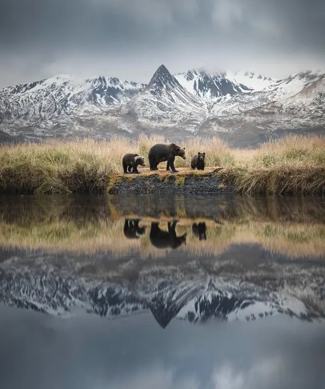 Image credit: Reddit | michaelfoosh