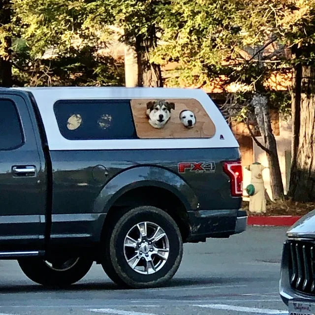 Image credit: Reddit | letsfoldscarves
