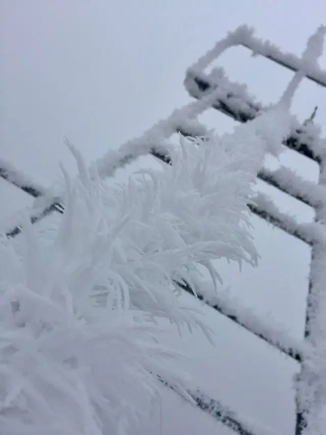 Image credit: Docta-Toboggan