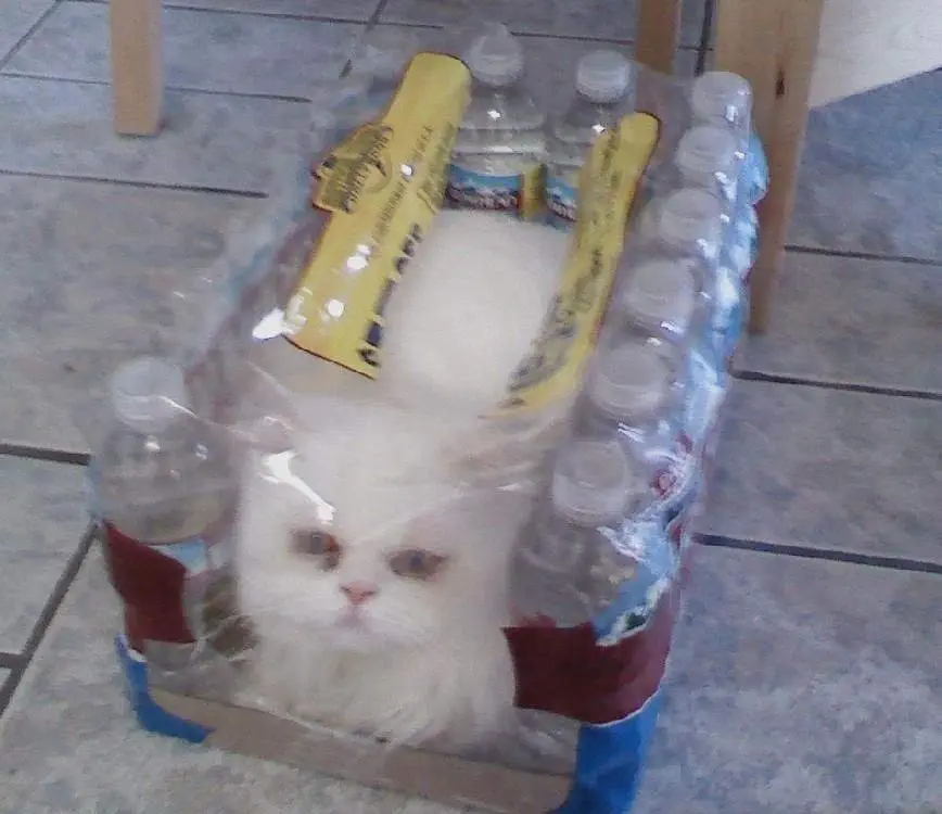 Image credit: Reddit | Yukibunz