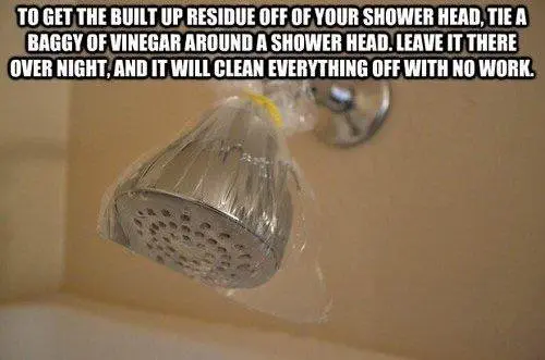 Image credit: Reddit | bucitremurate
