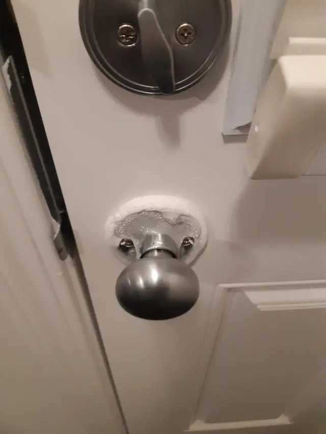 Image credit: Reddit | gelatinsocks