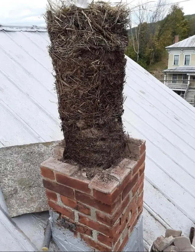 Image credit: Reddit | Konnarinari