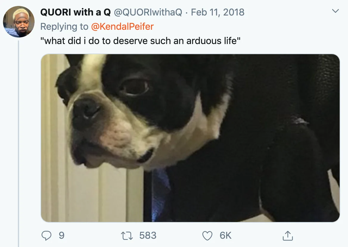 Image credit: Twitter | @QUORIwithaQ