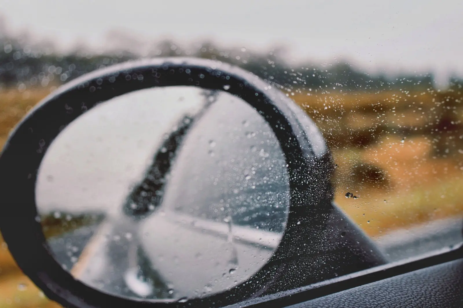 Image credit: Unsplash | Devon Janse van Rensburg