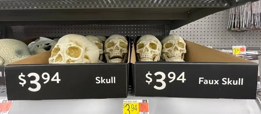 Image credit: Twitter | @cordialwombat