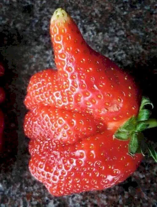Image credit: Reddit | flyingfrig
