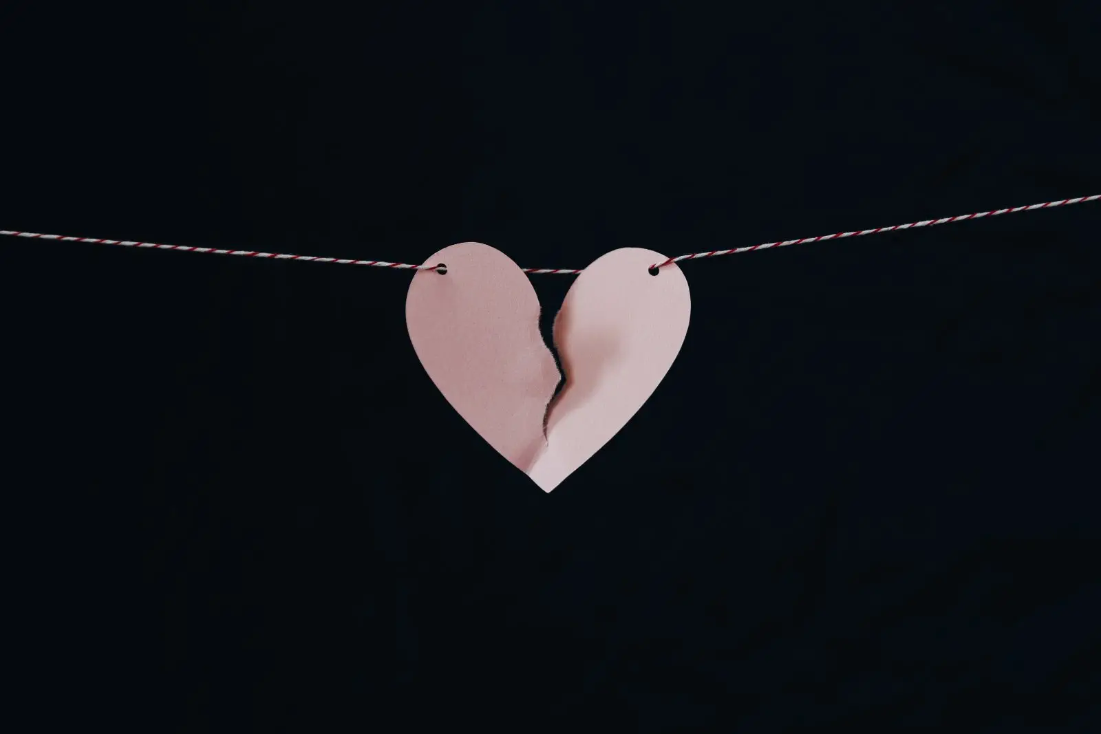 Image credit: Unsplash | Kelly Sikkema