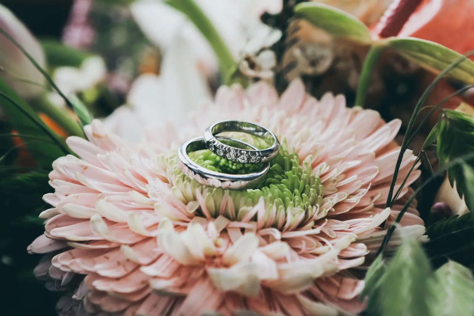 Image credit: Unsplash | Nick Karvounis