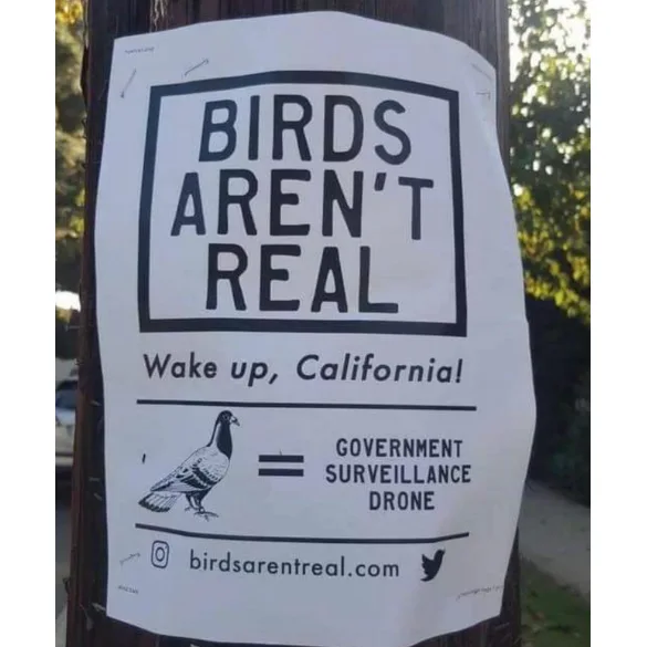 Image credit: Reddit | LittleBastard