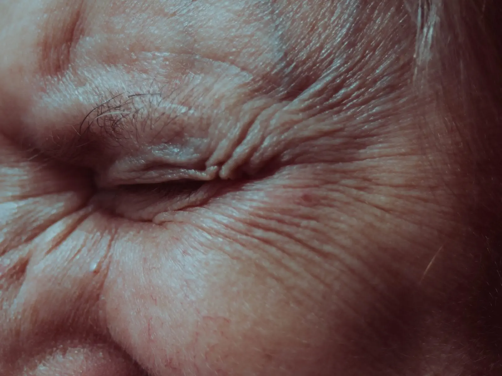 Image credit: Unsplash | Anita Jankovic