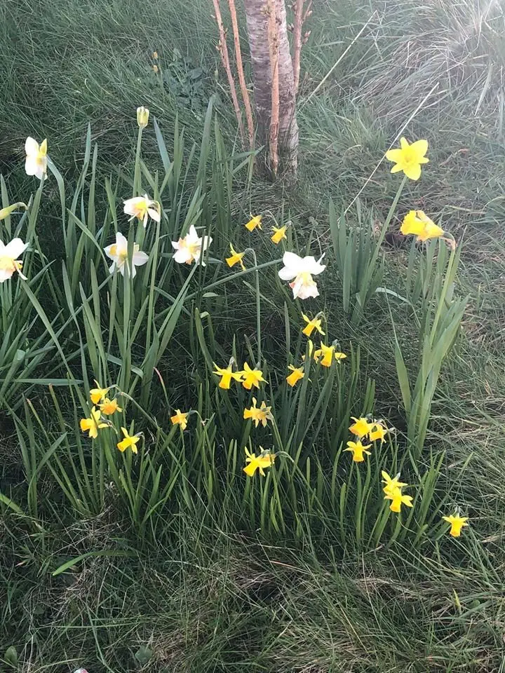Image credit: Facebook | Bryn Celyn Care Home