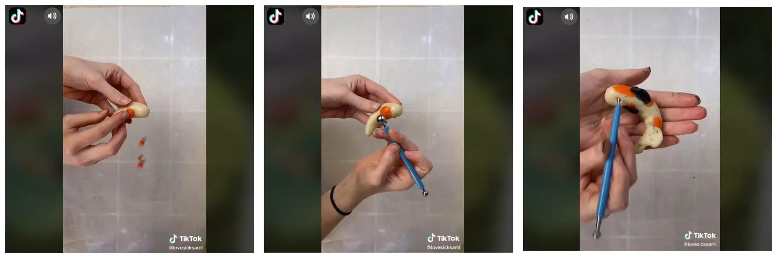 Image credit: TikTok | @lovesicksami
