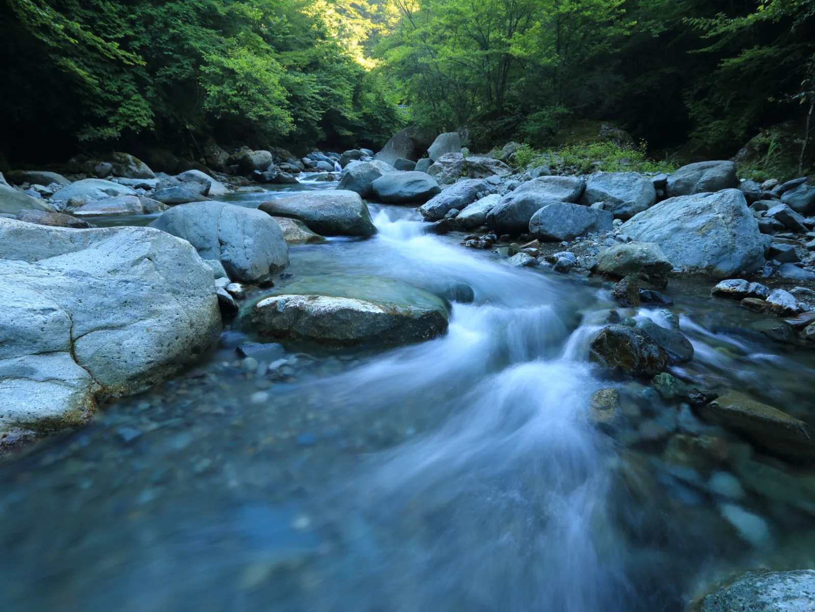 Image credit: Unsplash | kazuend
