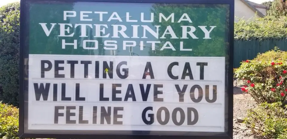 Image credit: Facebook | Petaluma Veterinary Hospital