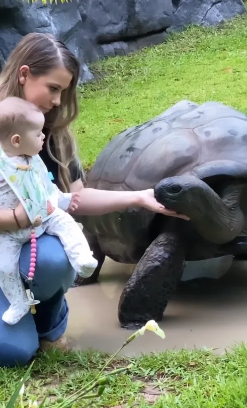 Image credit: Instagram | @bindisueirwin