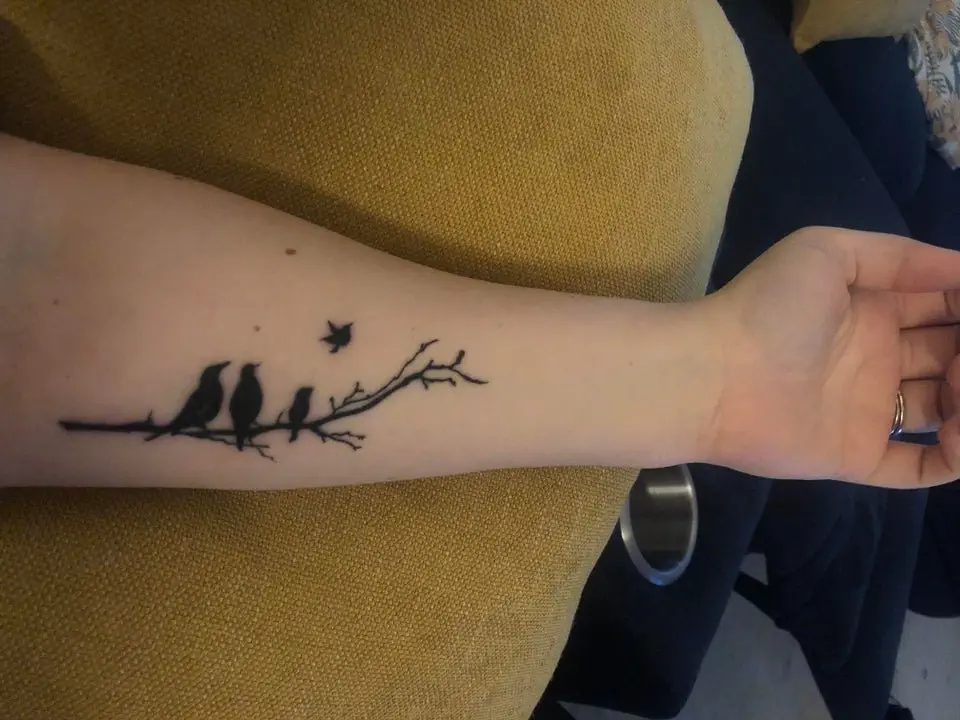 Image credit: Reddit | eireanne_b