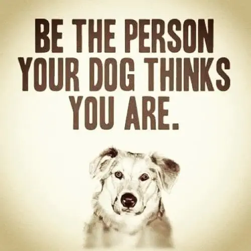 Image credit: Pinterest | PawromaTherapy