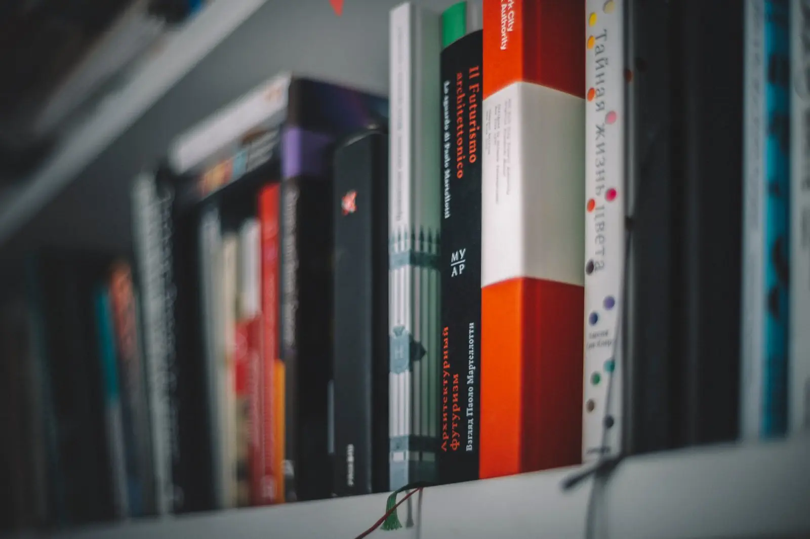 Image credit: Unsplash | Egor Myznik