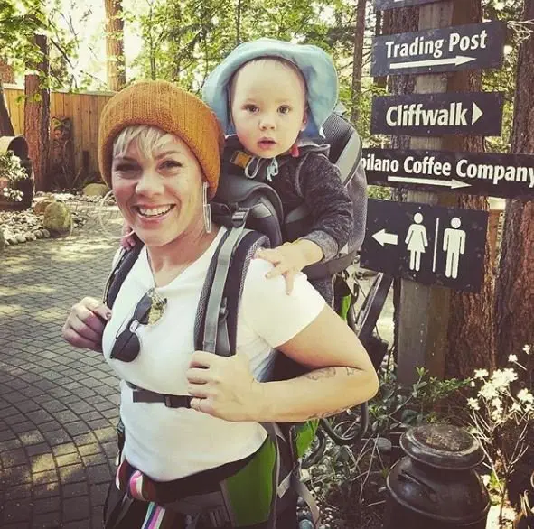 Image credit: Instagram | @pink