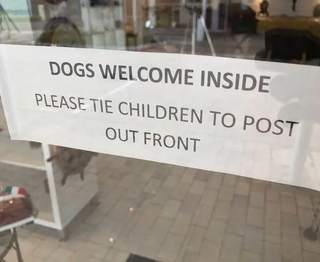 Image credit: Reddit | sallysaysyes
