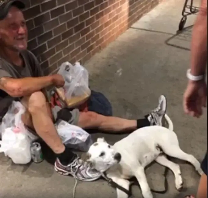 Image credit: Facebook | Memphis Animal Services