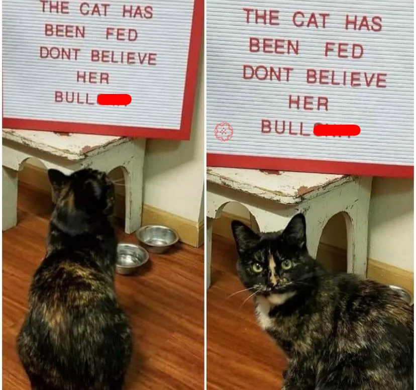 Image credit: Reddit | LuckyKiwi2