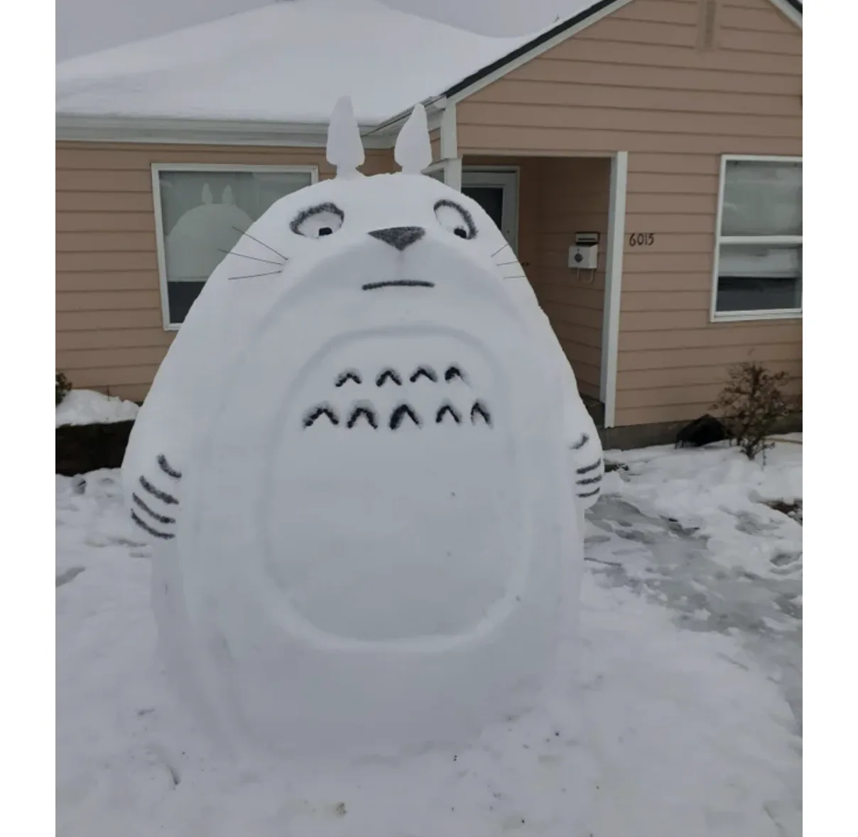 Image credit: Reddit | moonwoofish