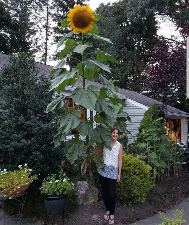 Image credit: Reddit | Verryfastdoggo