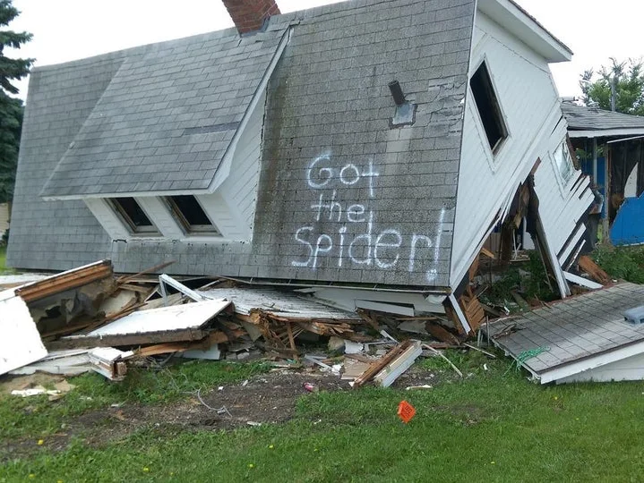 Image credit: Reddit | Fuersties