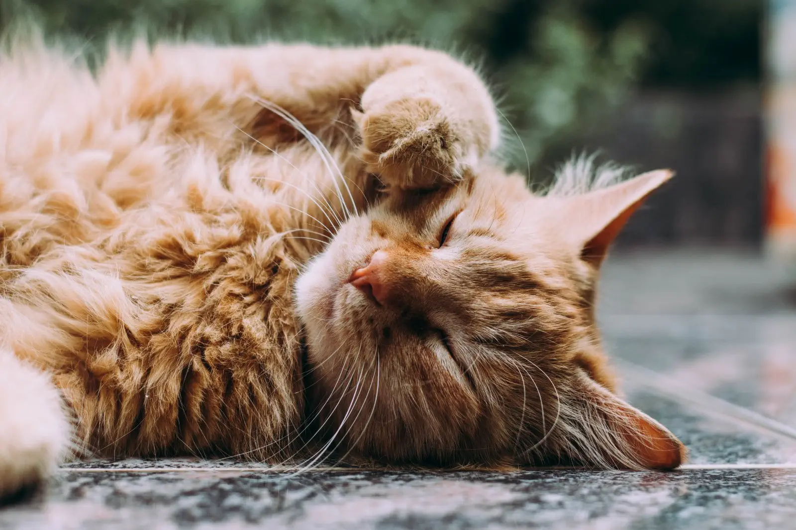 Image credit: Unsplash | Ludemeula Fernandes