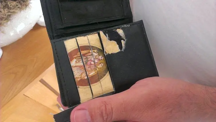 Image credit: reddit | Bwuhbwuh