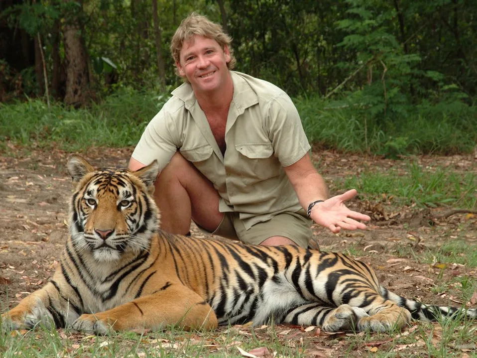 Image credit: Instagram | @wildlifewarriorsworldwide