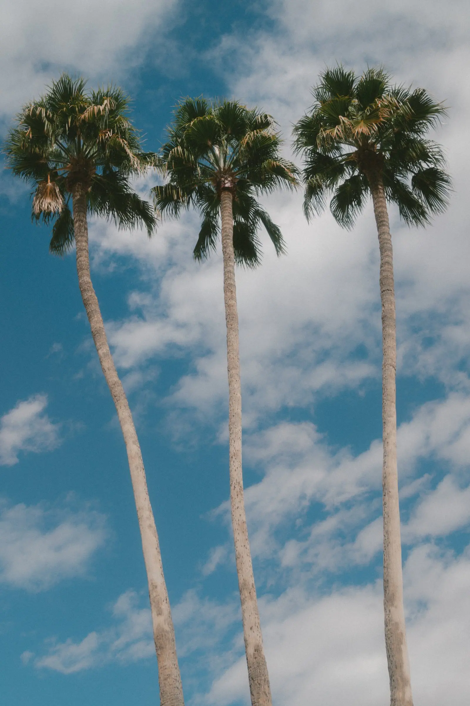 Image credit: Unsplash | Jakob Owens
