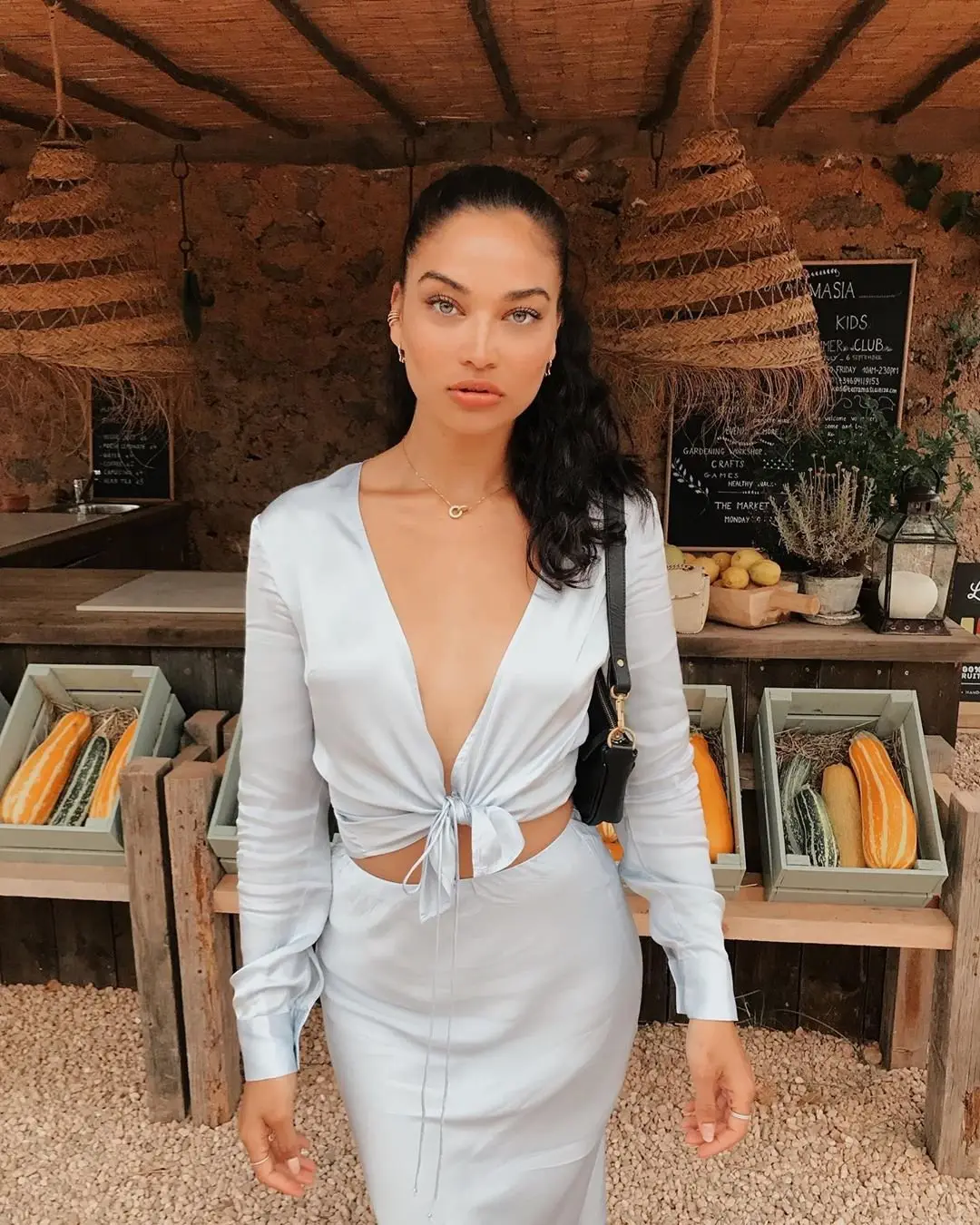 Image credit: Instagram | @shaninamshaik