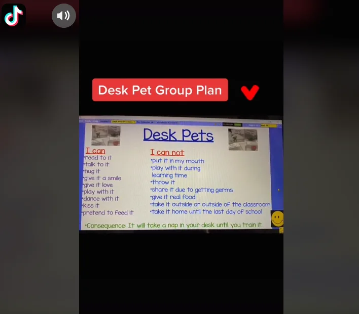 Image credit: TikTok | @keto_teacher_life