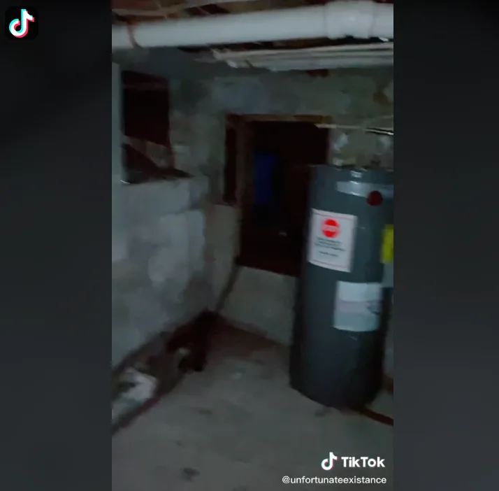 Image credit: TikTok | @unfortunateexistance