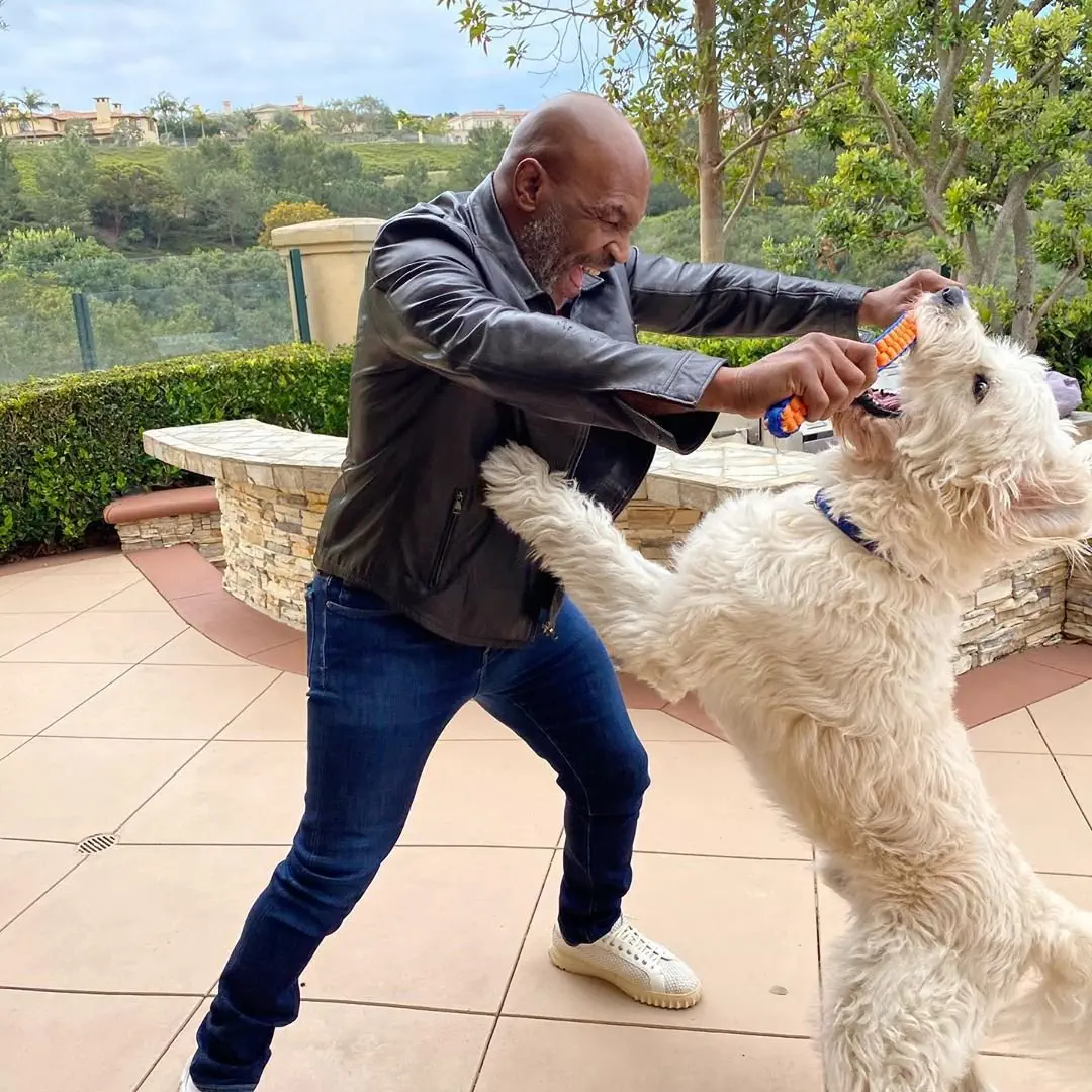 Image credit: Instagram | @miketyson